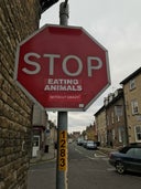 Stop Eating Animals