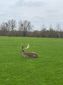 Burghley Park