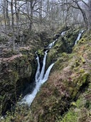 Stock Ghyll Force Waterfalls