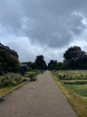 Greenwich Park Rose Garden