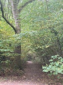 Perry Wood Local Nature Reserve