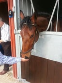 Ascot Stables