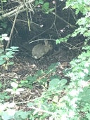 Trans-Pennine Trail