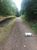 South Staffordshire Railway Walk