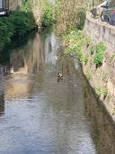 River Quaggy