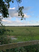 Wolvercote Green