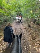 Jacks Riding Stables