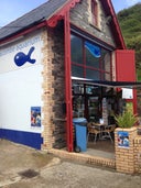 Ilfracombe Aquarium