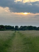 Coldhams Common