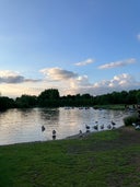 Lakeside Country Park