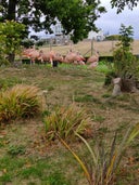 Welsh Mountain Zoo