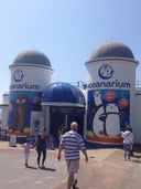 Oceanarium