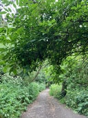 South Norwood Country Park