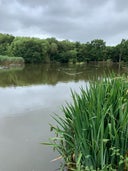 Milkingbrook Pond