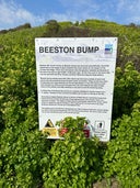 Beeston Bump