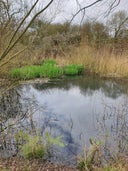 The River Ebbsfleet