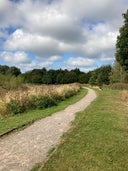 Churchdown Park Nature Area