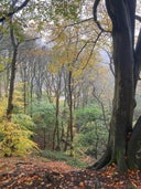 Harecastle Tunnel North