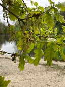 Vinters Valley Nature Reserve