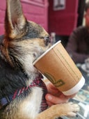 Singl-end Merchant City