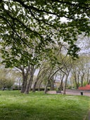 Stratford Park