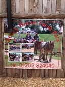 Dorset Heavy Horse Farm Park