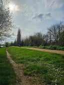 Barge Walk