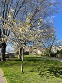 Coronation Gardens