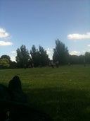 St Ives Park