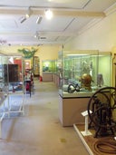 Whitstable Museum & Gallery