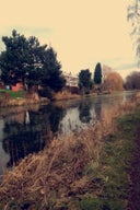 Wombwell Canal