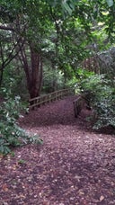 Stambourne Woods