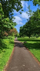 Llandaff Weir