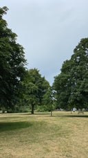 Ham Common