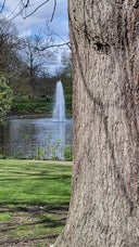 Greenwich Park Flower Garden