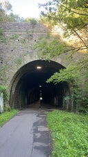 Staple Hill tunnel