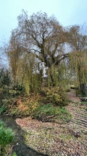 Frome Valley Walkway