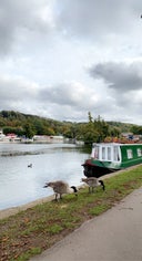 River & Rowing Museum