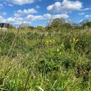 Lake Farm Country Park