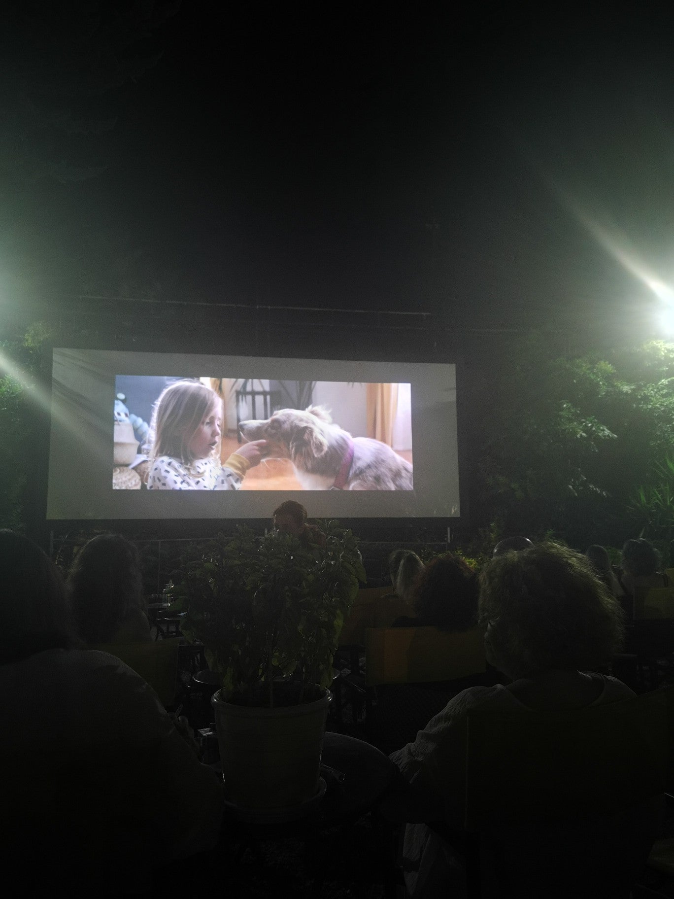 movie-theater