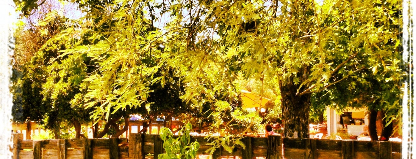 The 15 Best Places for Picnics in Phoenix