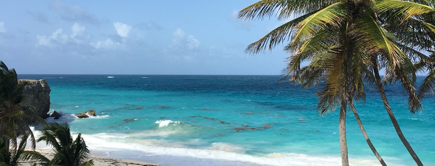 Best Barbados Picnic Beaches
