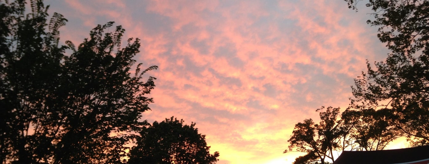 The 15 Best Places for Picnics in Atlanta