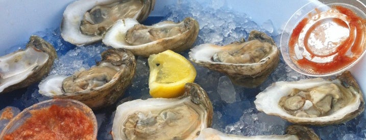 The 15 Best Places for Oysters in Tampa
