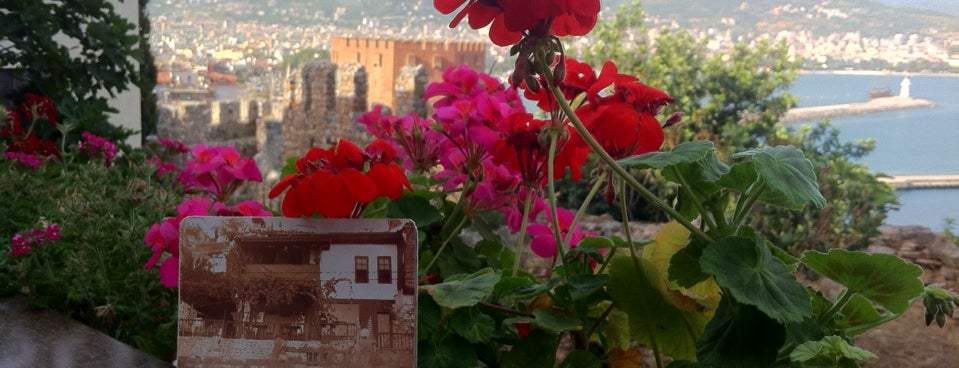 Alanya