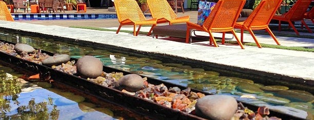 The 15 Best Places With A Swimming Pool In San Francisco