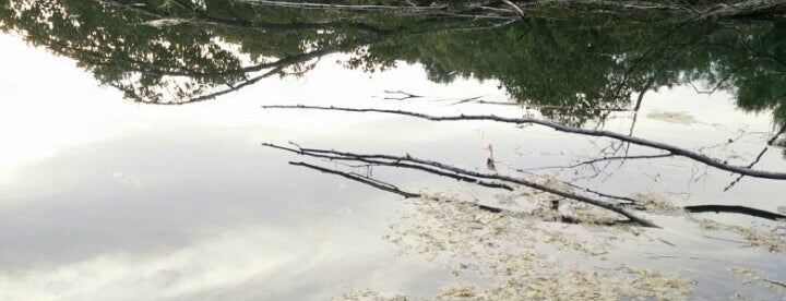 #11 Result of fkk Nudist mobile-homes-fkk-nudist-camping-solaris-porec.booked.co.il (NONE of the images is related to this website.) fkk Nudist mobile-homes-fkk-nudist-camping-solaris-porec.booked.co.il