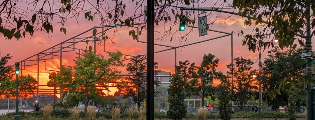 The 15 Best Restaurants in New York City