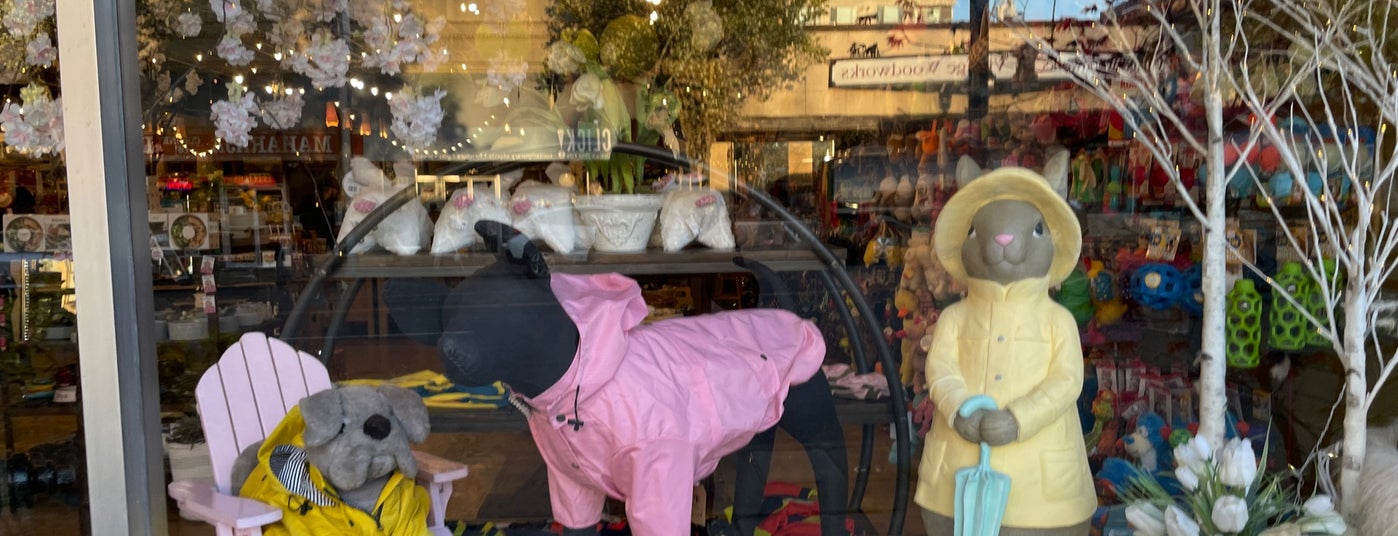 The 13 Best Pet Supplies Stores in Seattle