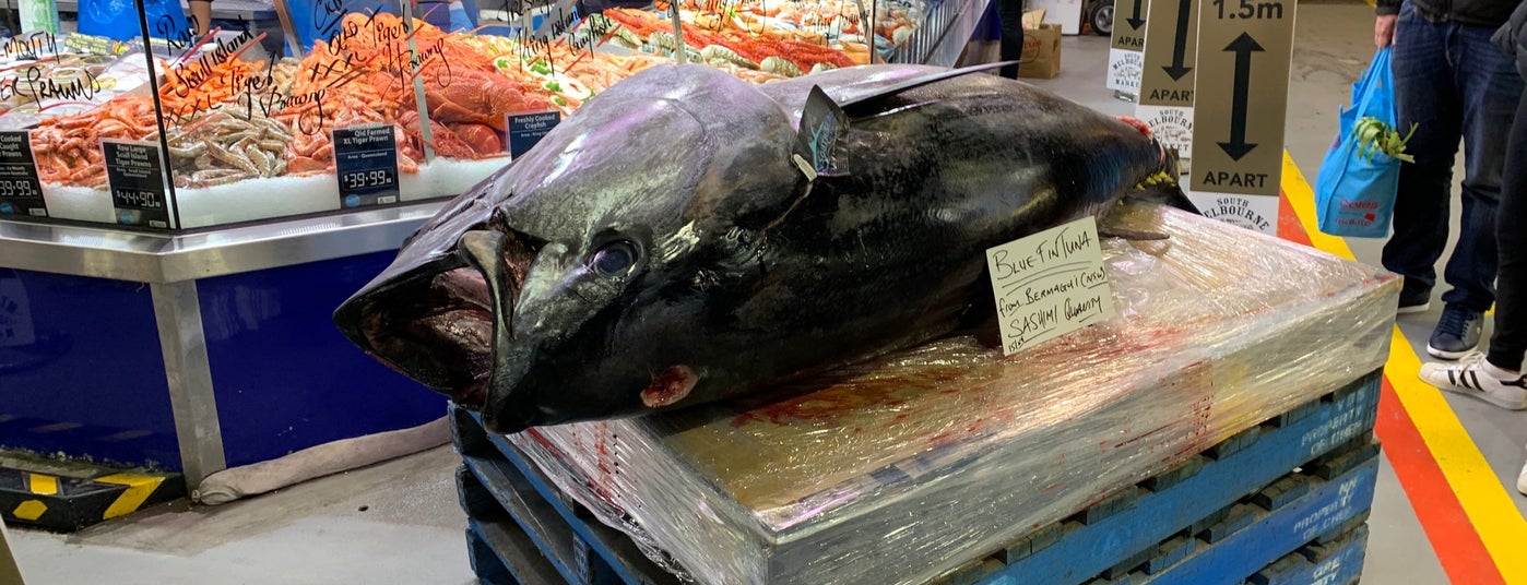 The 15 Best Places for Oysters in Melbourne